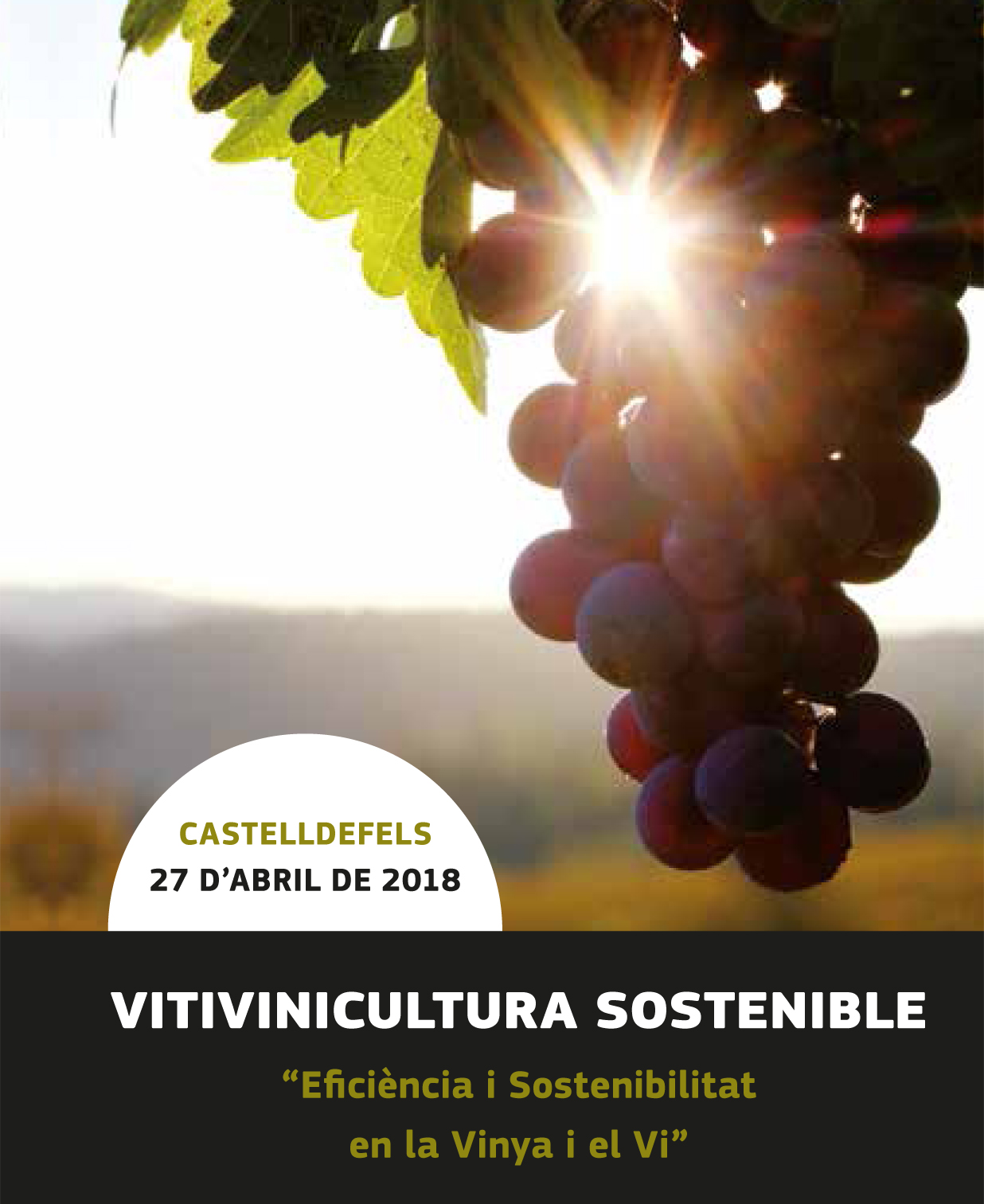 Read more about the article XXIXè Congrés de l’ACE i CEEC: Eficiència i sostenibilitat en la vinya i el vi