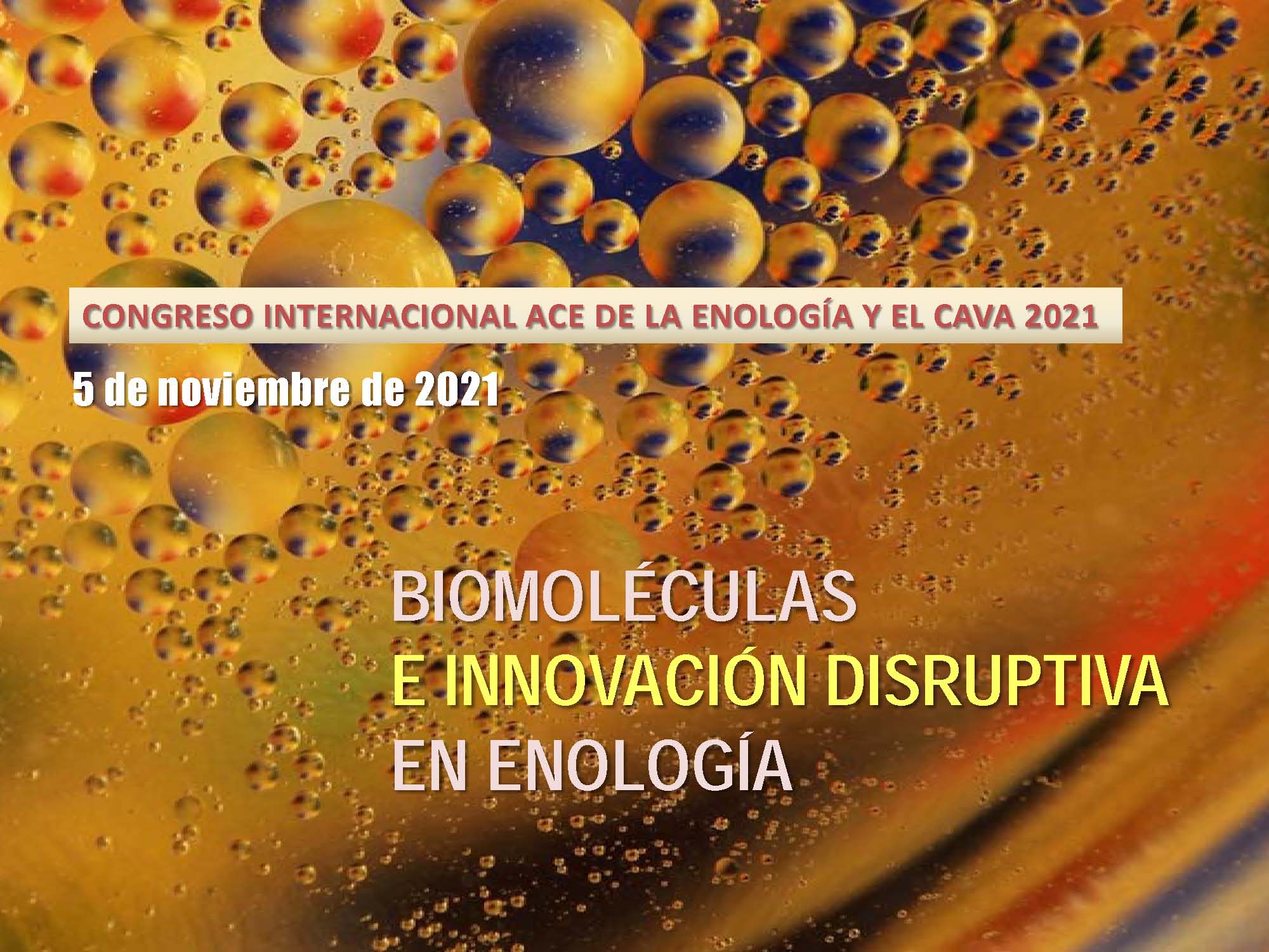 Read more about the article Congrés Internacional ACE de l’Enologia i del Cava 2021. «Biomolècules i innovació disruptiva en enologia»