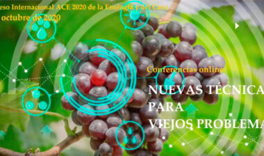 Read more about the article XXXI Congrés de l’ACE-CEEC conjuntament amb el XXXVII Congrés Internacional del Cava