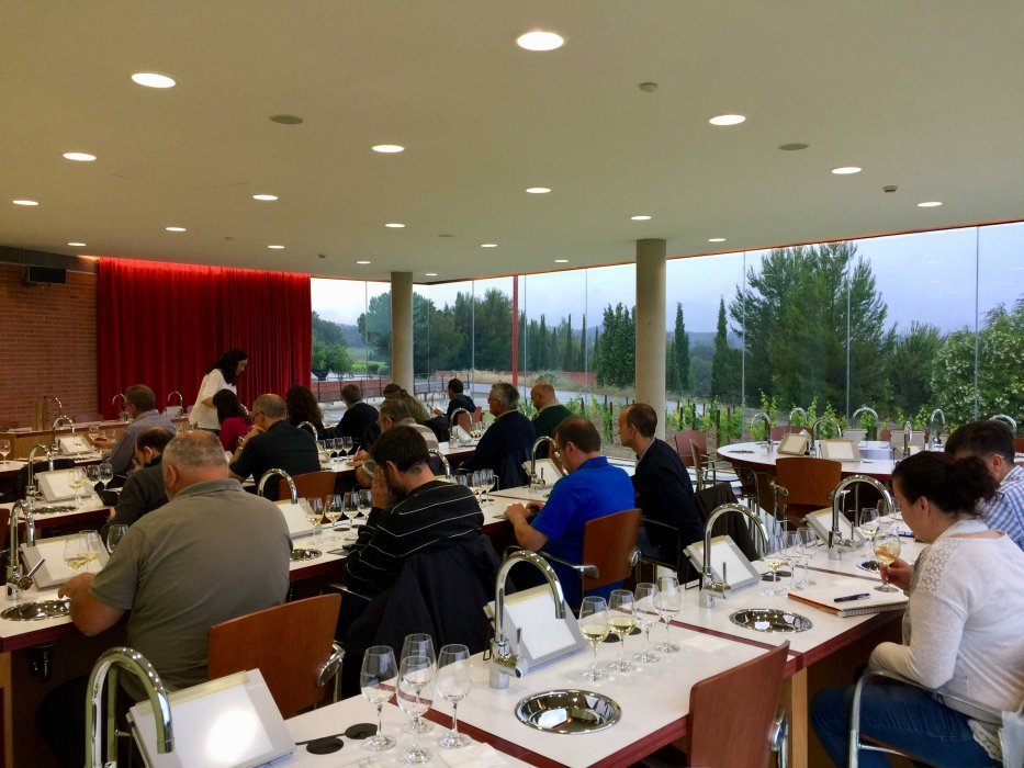 Read more about the article L’ACE celebra l’última sessió del Taller de Tast de Vins 2019