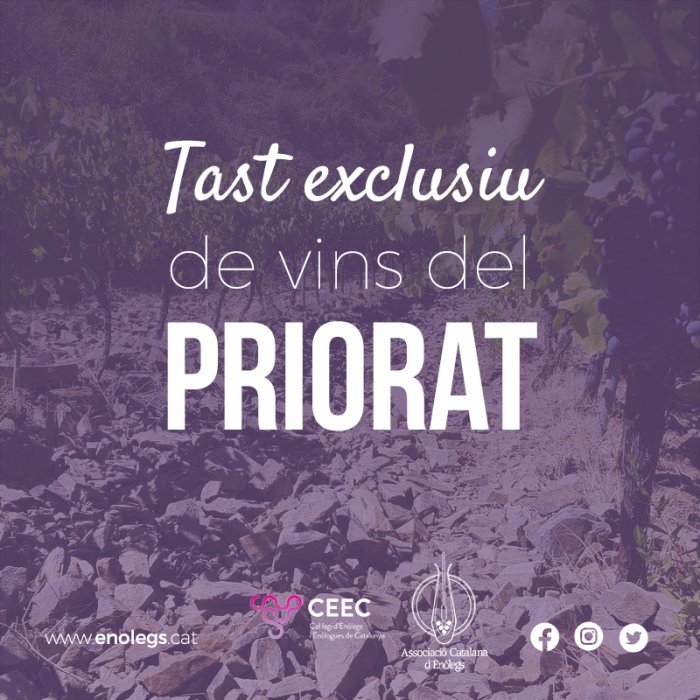 Read more about the article Tast exclusiu de vins del Priorat. Com va anar?