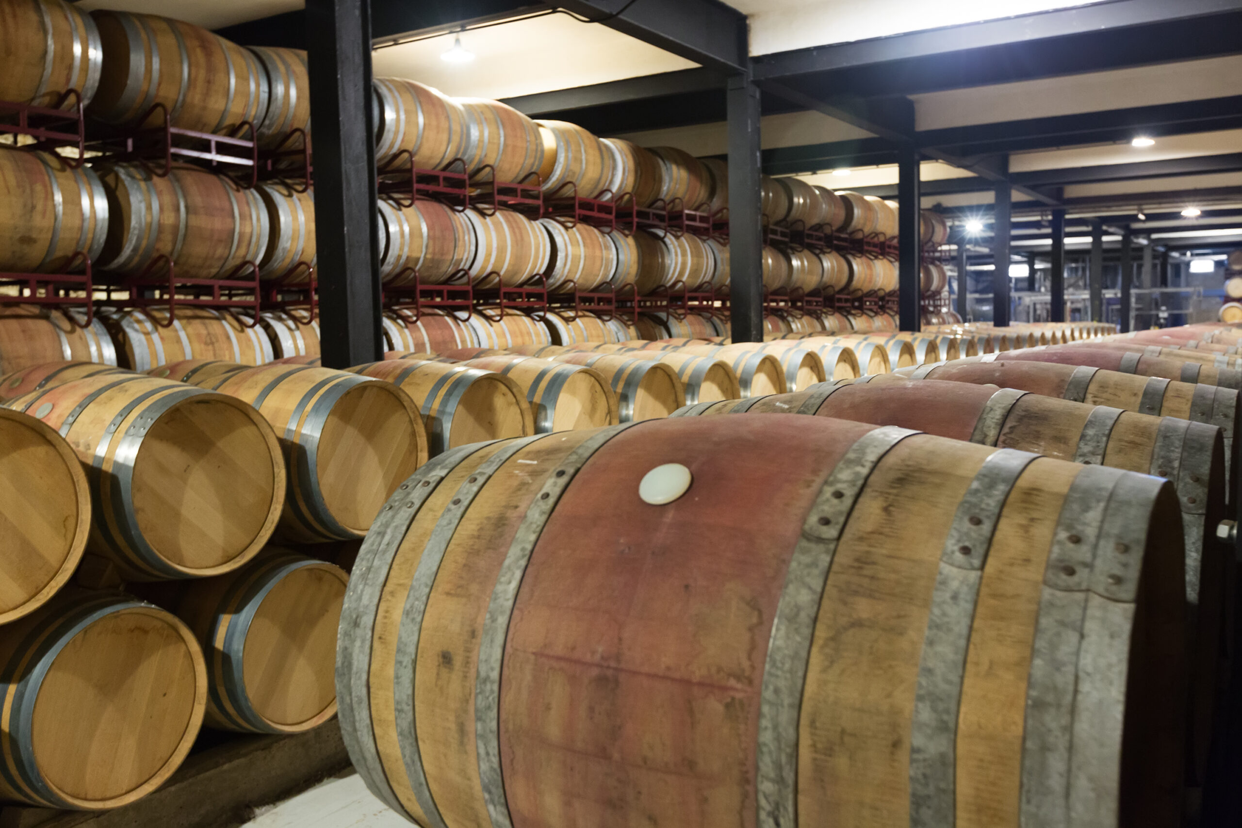 Indoor photo of    winery factory