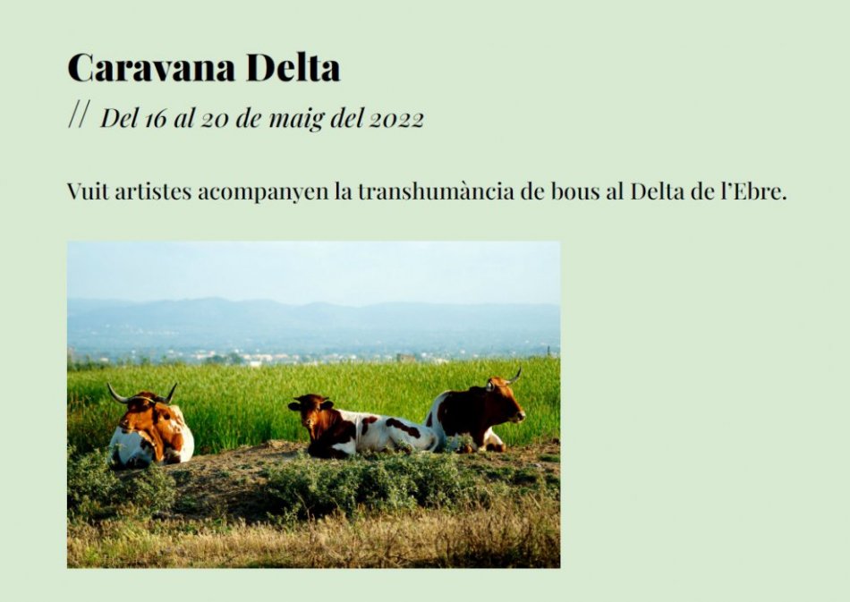 Read more about the article La DO Terra Alta acompanya la primera Caravana Transhumant del Delta de l’Ebre