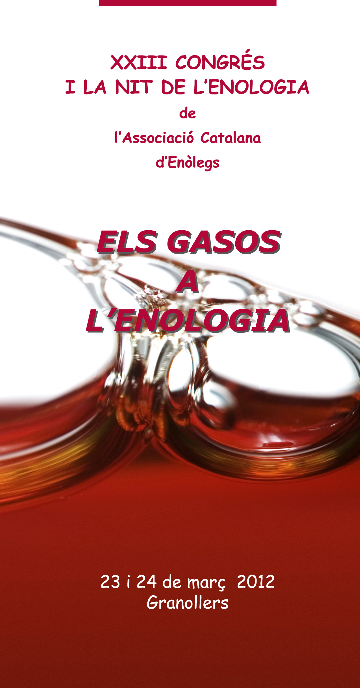 Read more about the article XXIII Congrés de l’ACE: Els gasos a l’enologia