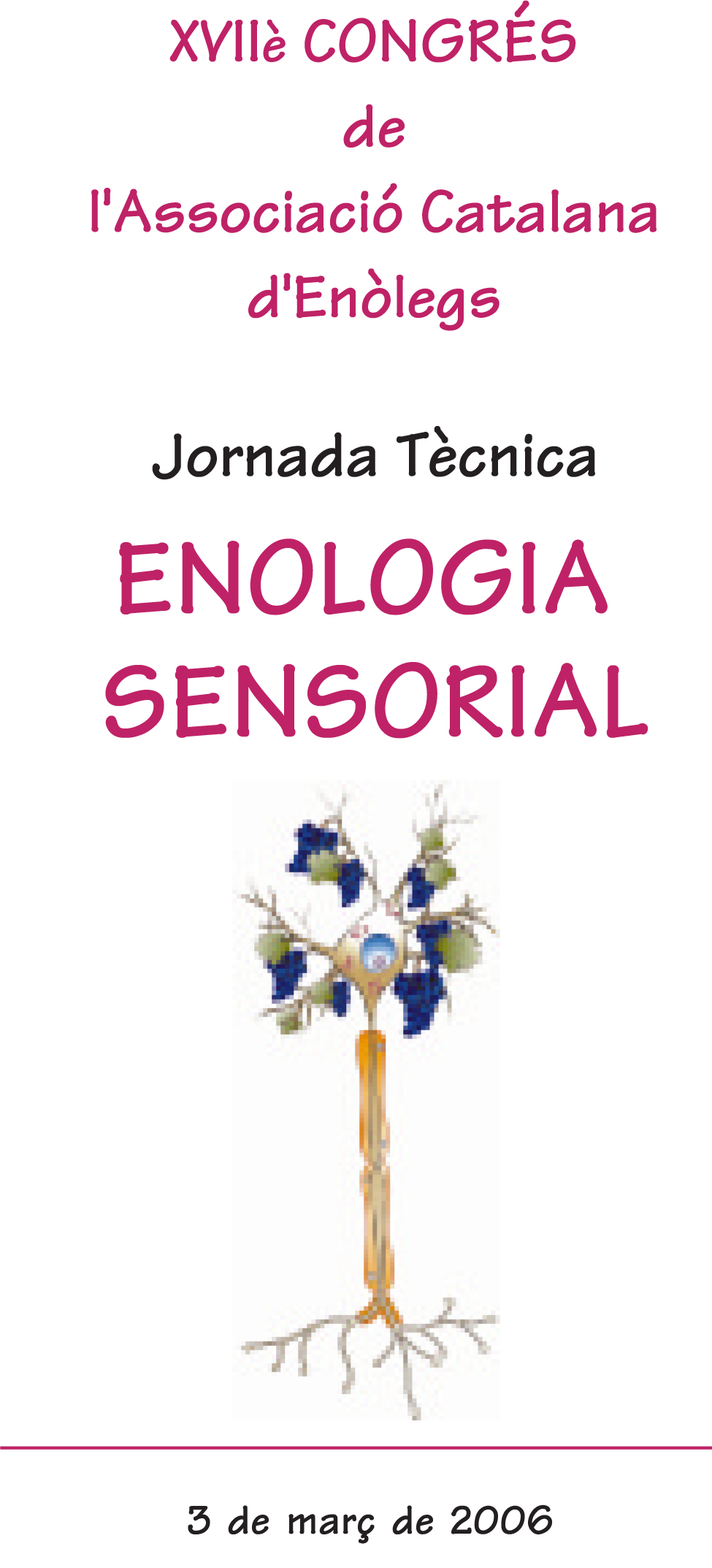 Read more about the article XVII Congrés de l’ACE: Enologia sensorial
