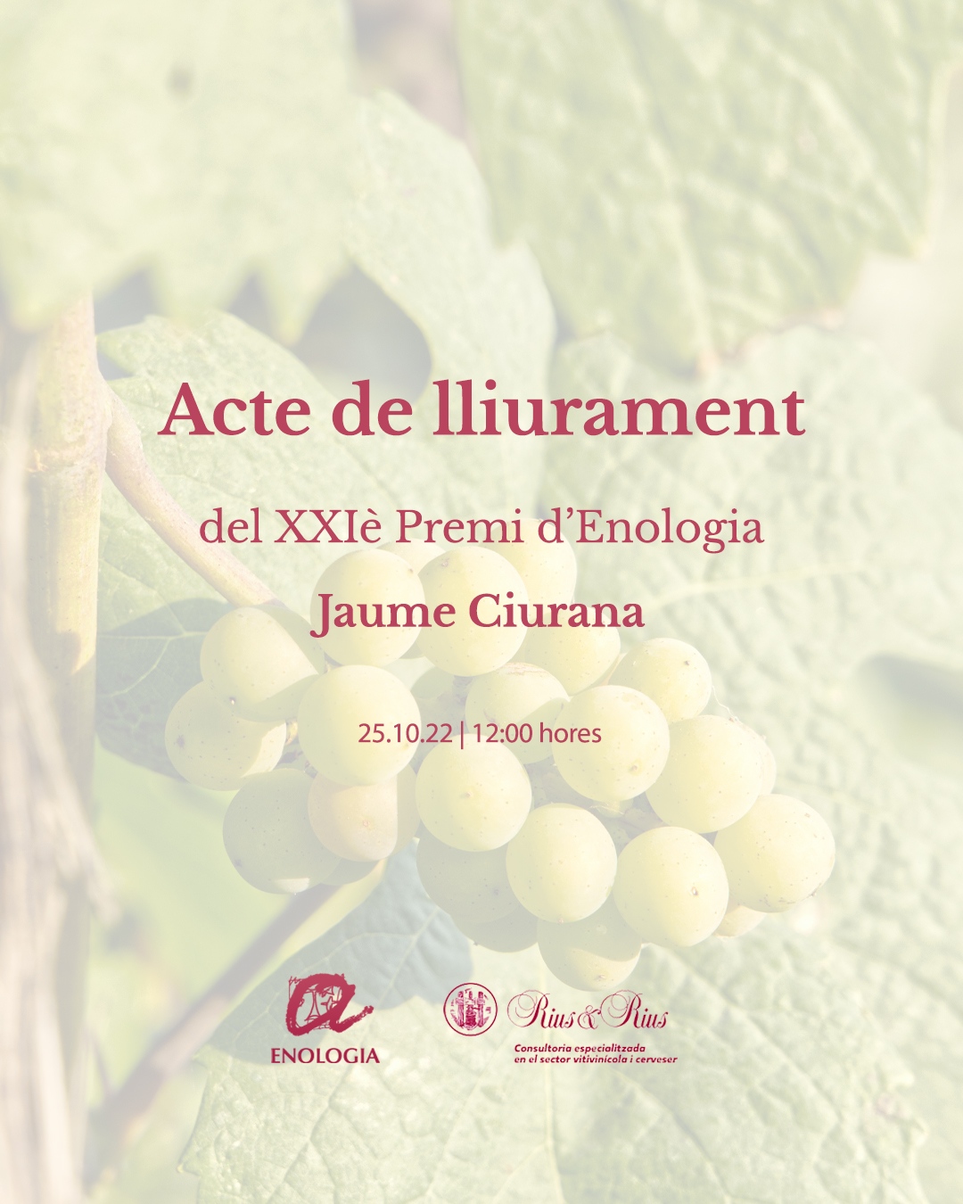 Read more about the article Acte de lliurament del XXI premi d’Enologia “Jaume Ciurana”