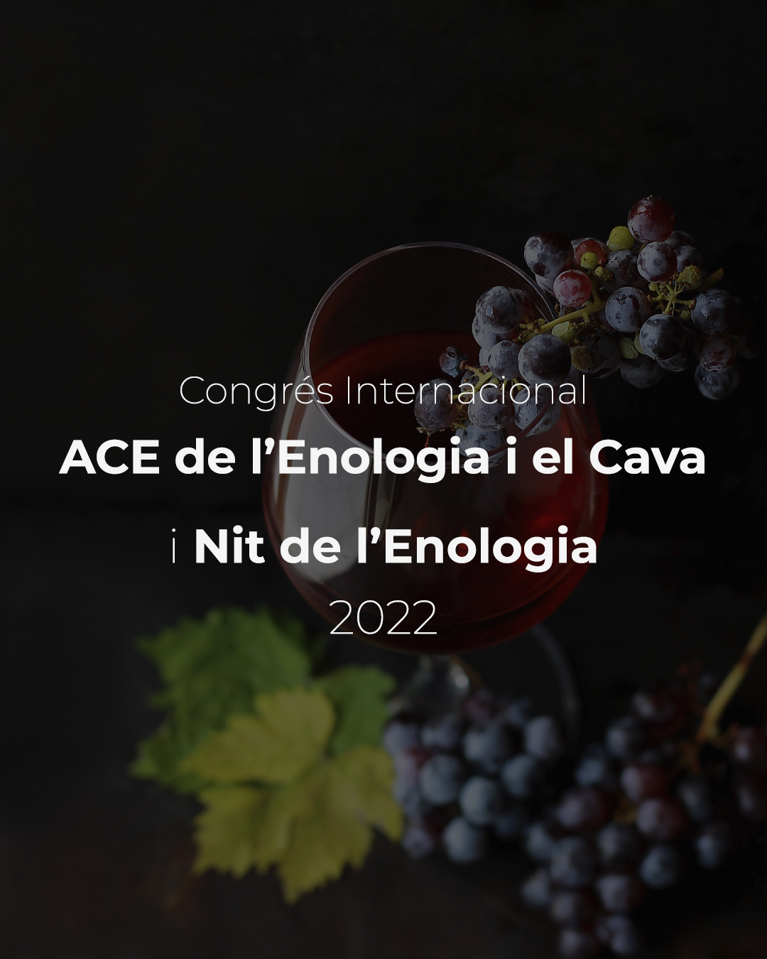 Read more about the article Congrés Internacional ACE de l’Enologia i el Cava i Nit de l’Enologia 2022.