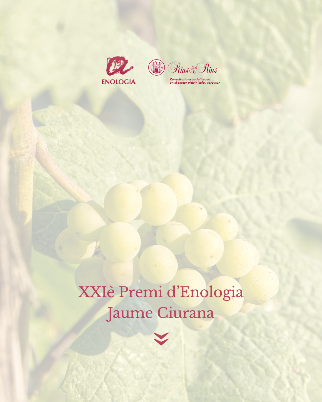 Read more about the article Alba Balcells i Pere Campos, al jurat del  XXIè Premi d’Enologia Jaume Ciurana