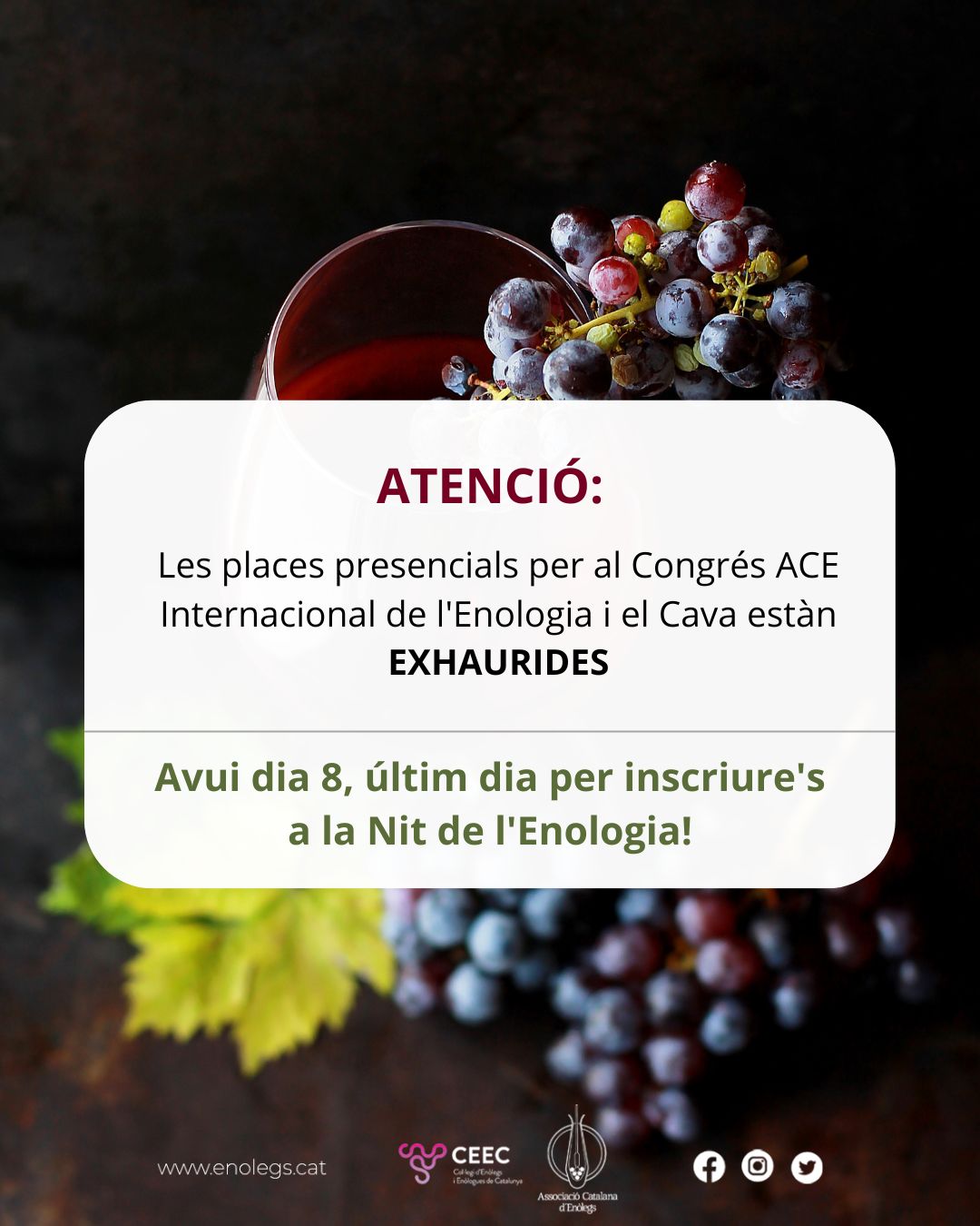 Read more about the article Les places presencials per al Congrés ACE Internacional de l’Enologia i el Cava estan exhaurides! Encara queda avui per a inscriure’s a la Nit de l’Enologia.