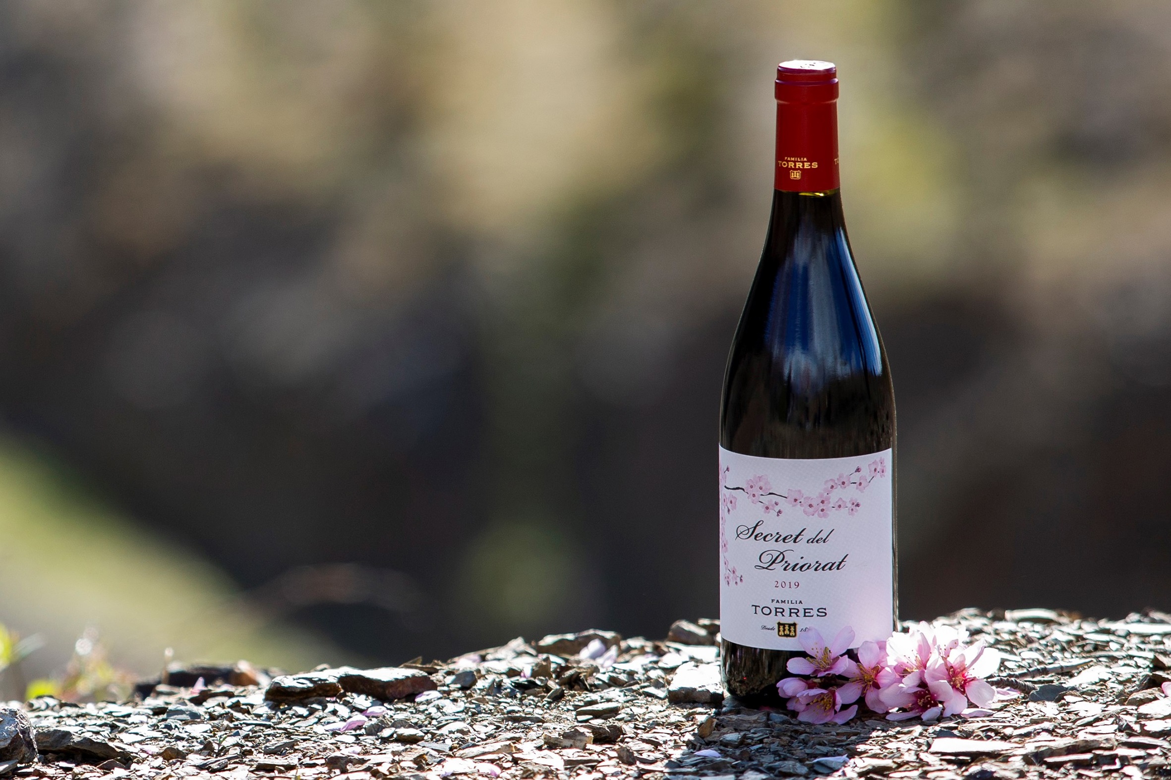 Read more about the article Secret del Priorat 2019 de Família Torres, entre els millors vins del 2022 segons Wine Enthusiast