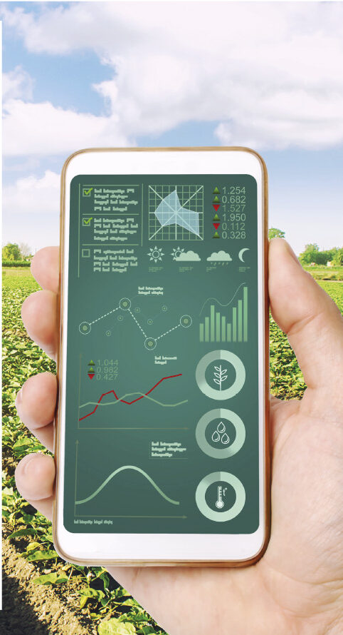 Read more about the article Inscriviu-vos al Baròmetre d’exportacions agroalimentàries de Catalunya i accediu a dades exclusives sobre el sector