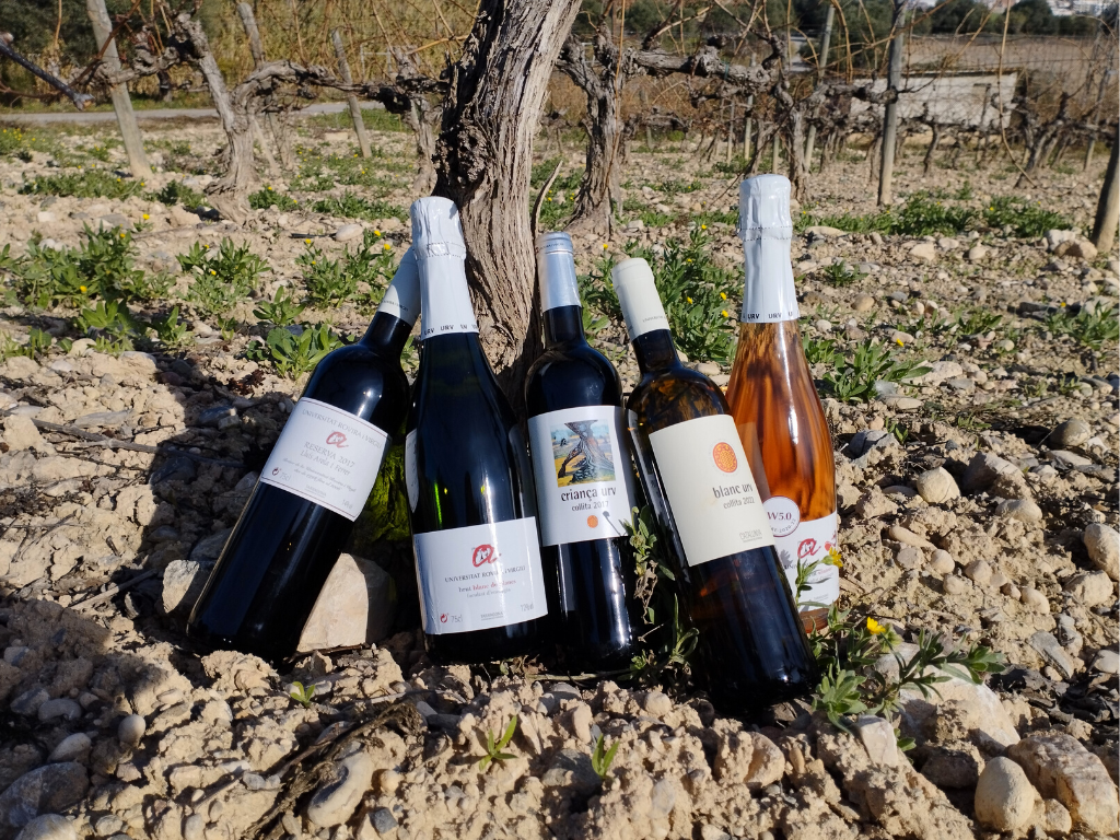 Read more about the article La Facultat d’Enologia presenta els nous vins de la collita 2022