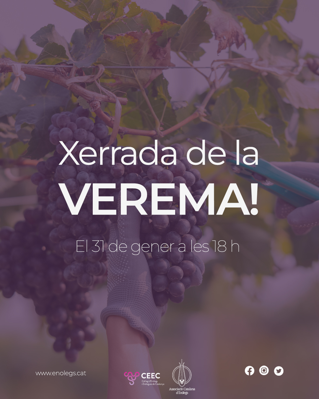 Read more about the article Ja us podeu inscriure a la xerrada de la verema!