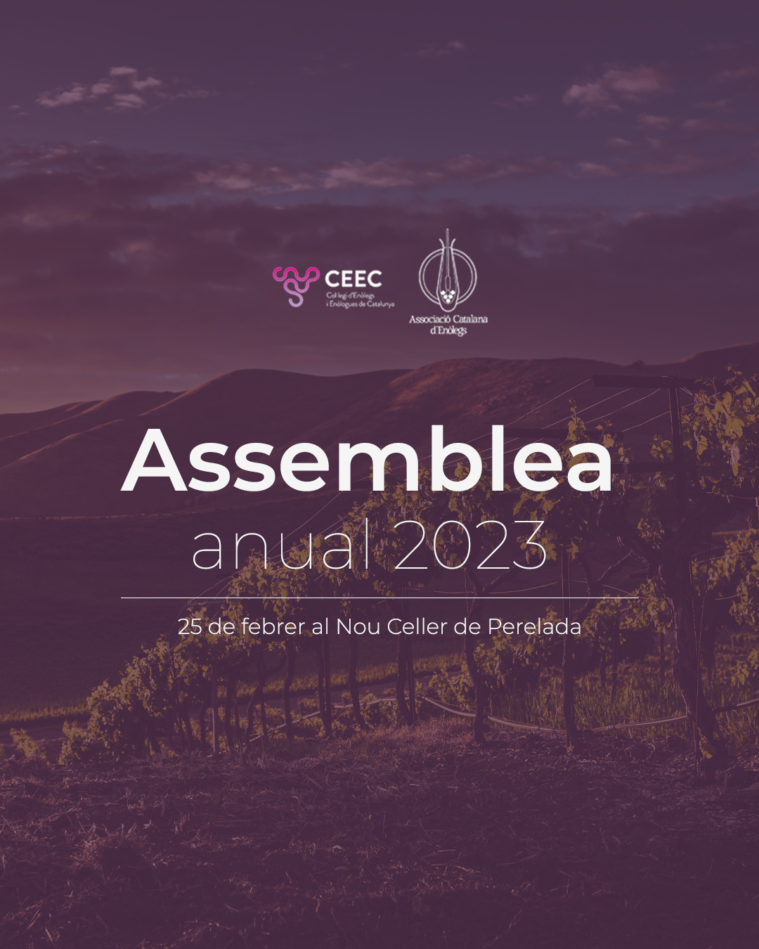 Read more about the article Assemblees generals ordiàries i extraordinàries de l’ACE – CEEC 2023