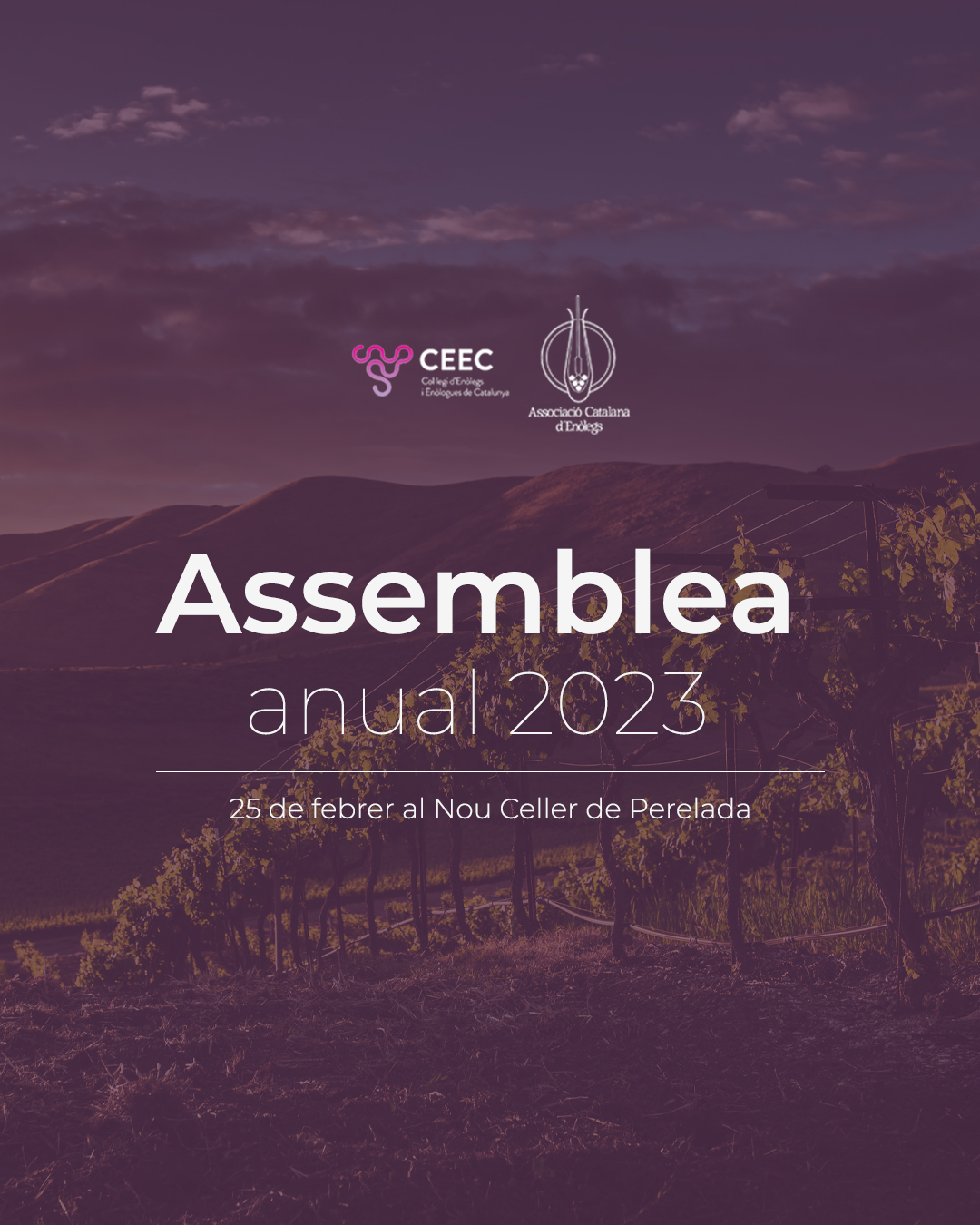 Read more about the article Assemblees generals ordiàries i extraordinàries de l’ACE – CEEC 2023
