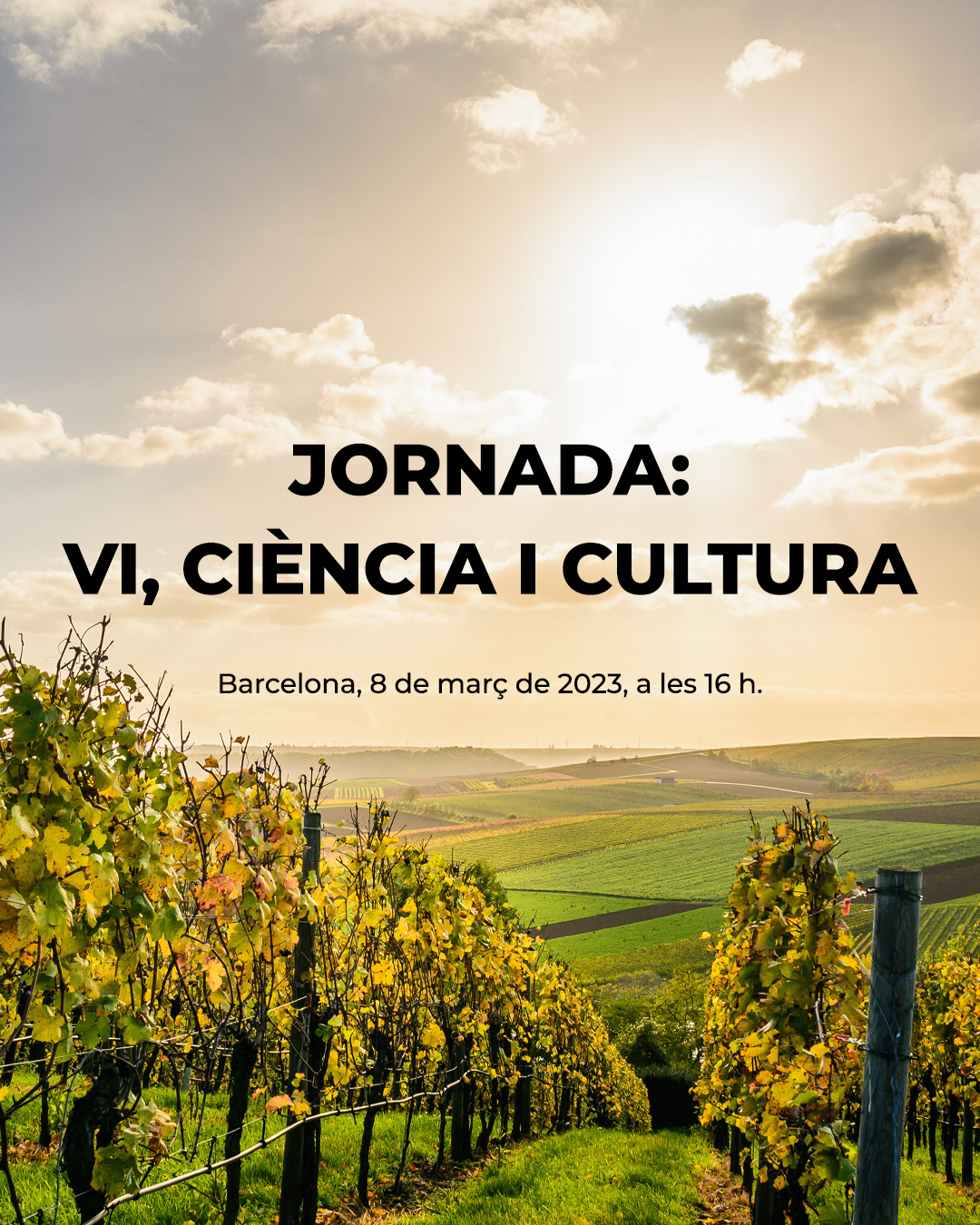 Read more about the article Programa de la Jornada vi, ciència i cultura.