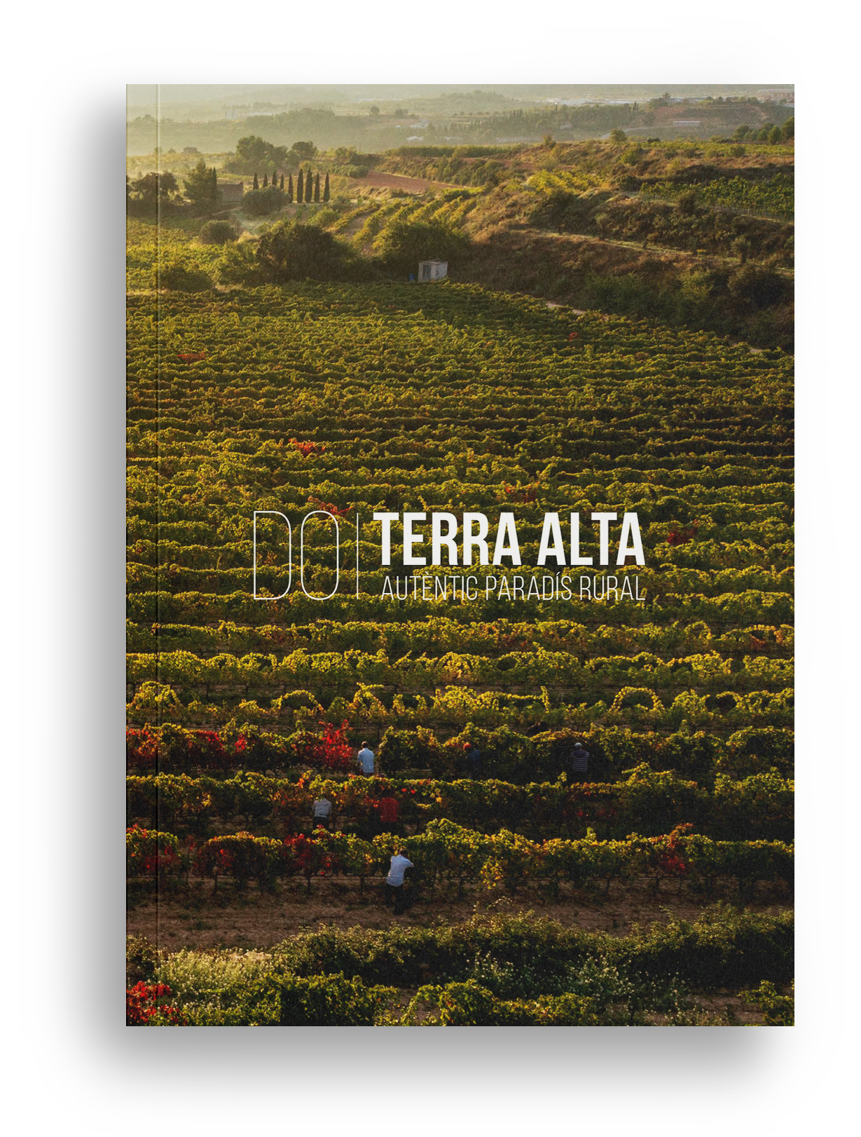 Read more about the article DO Terra Alta, autèntic paradís rural