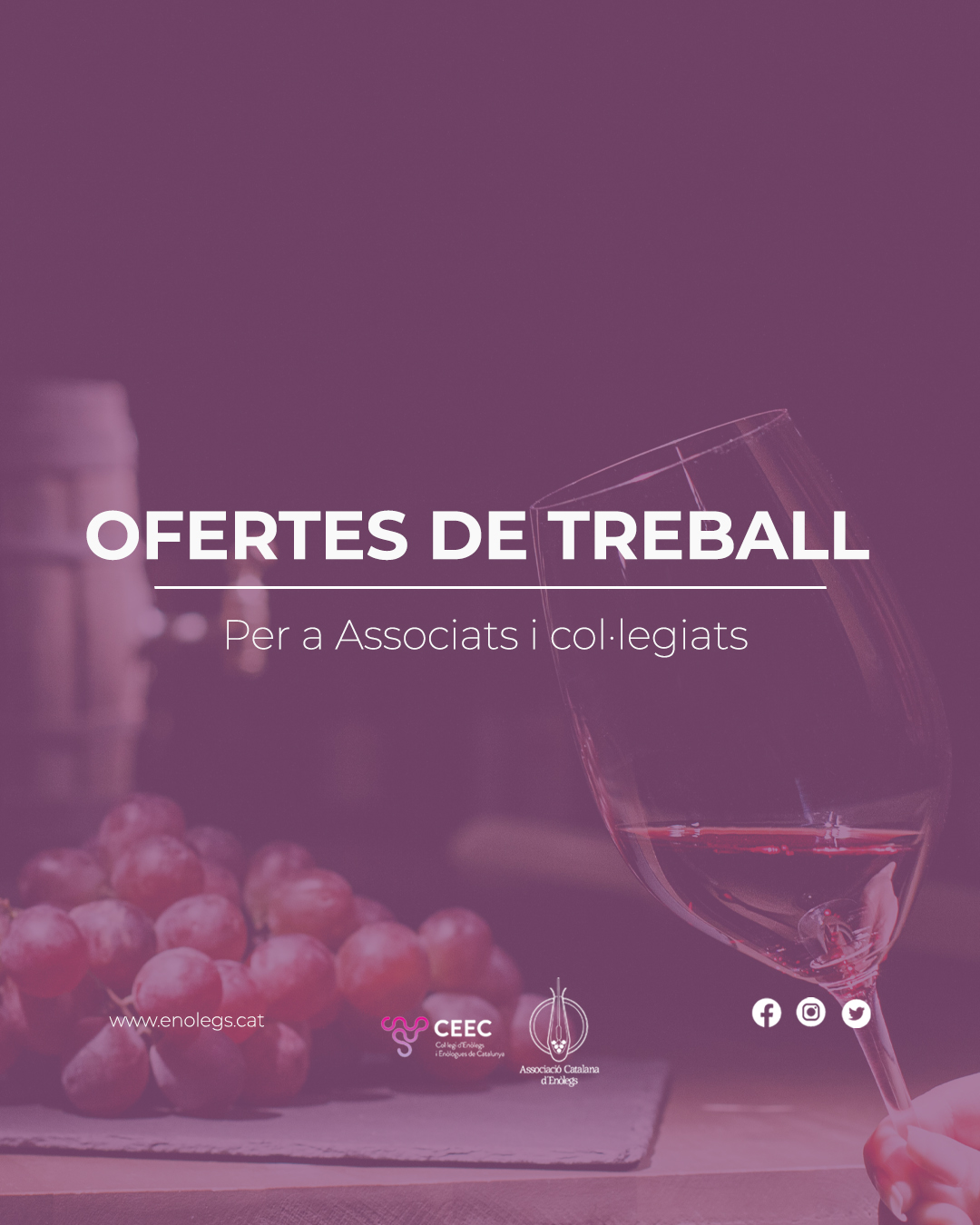 Read more about the article Borsa de treball