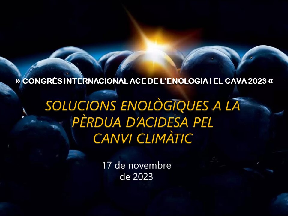 Read more about the article Congrés Internacional ACE de l’Enologia i el Cava 2023: Enfocat a les solucions enològiques davant la pèrdua d’acidesa per canvi climàtic