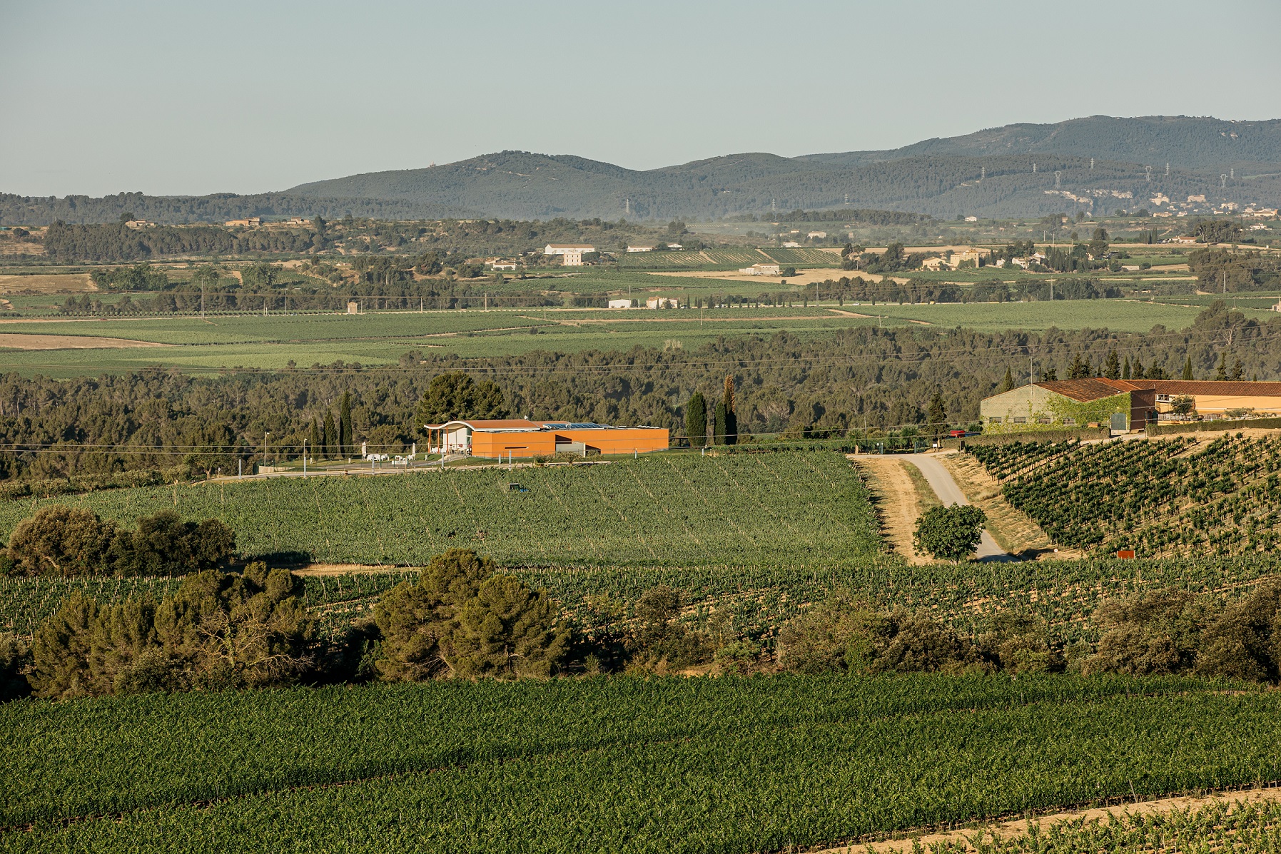 Read more about the article Jean Leon obté medalla d’or als Premis Vinari per a dos dels seus vins de finca qualificada