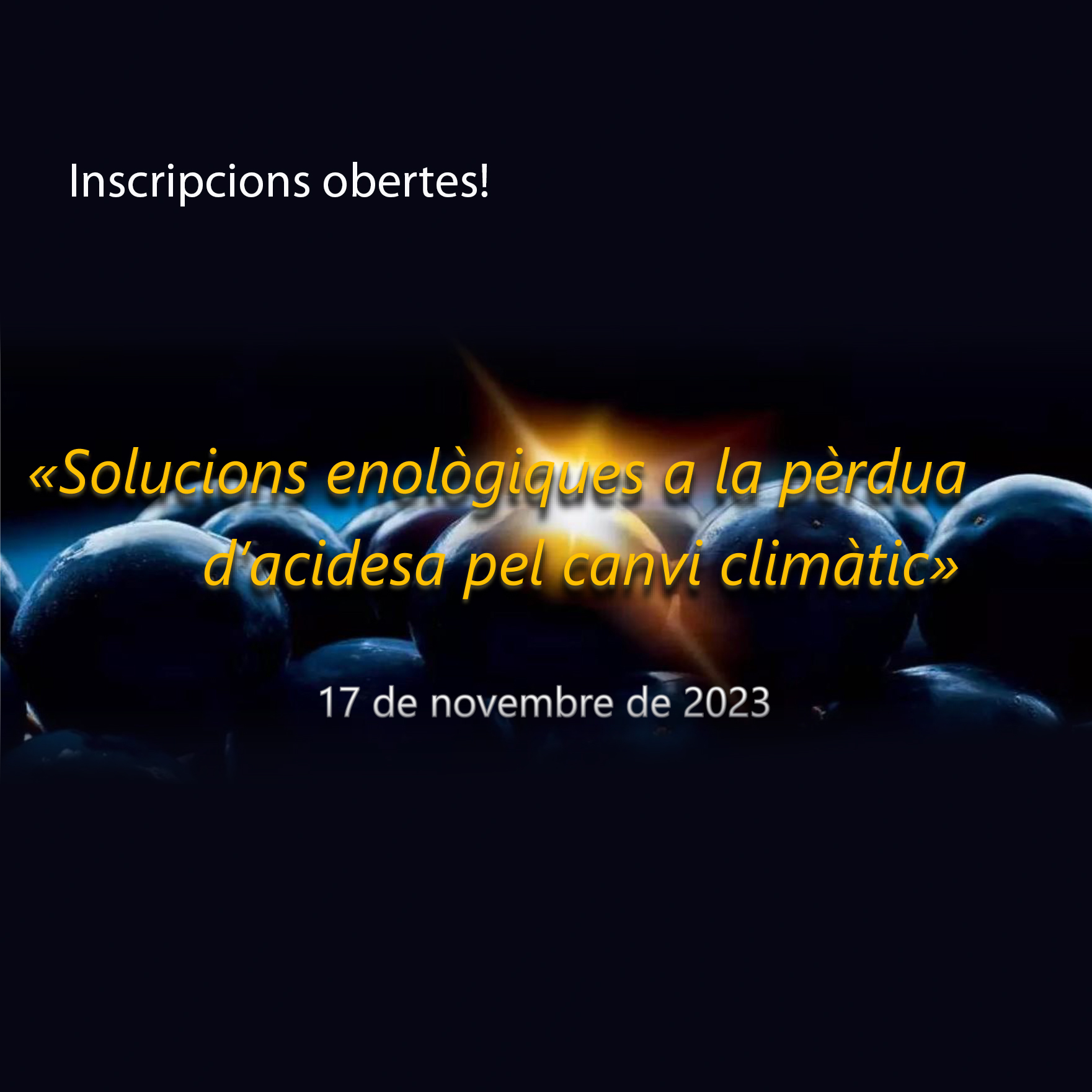 Read more about the article Ja estan obertes les inscripcions per al Congrés Internacional ACE de l’Enologia i el Cava 2023