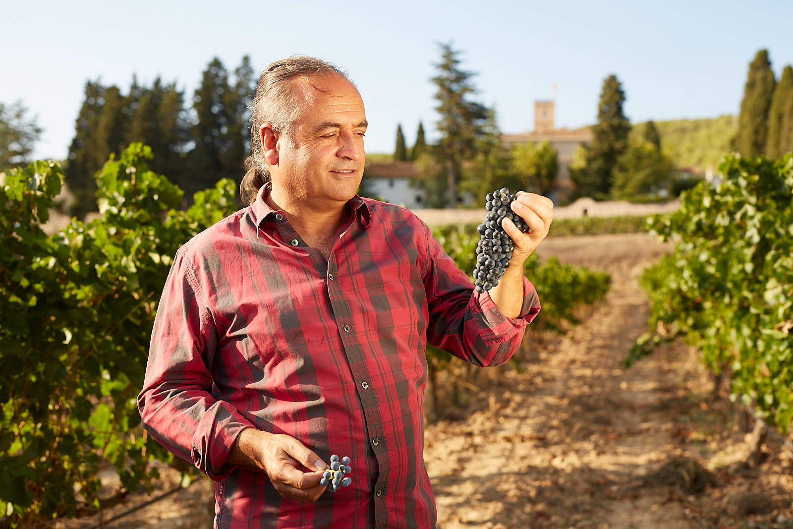 Read more about the article Josep Maria Albet: “Sempre he prioritzat fer vins socials i de qualitat”