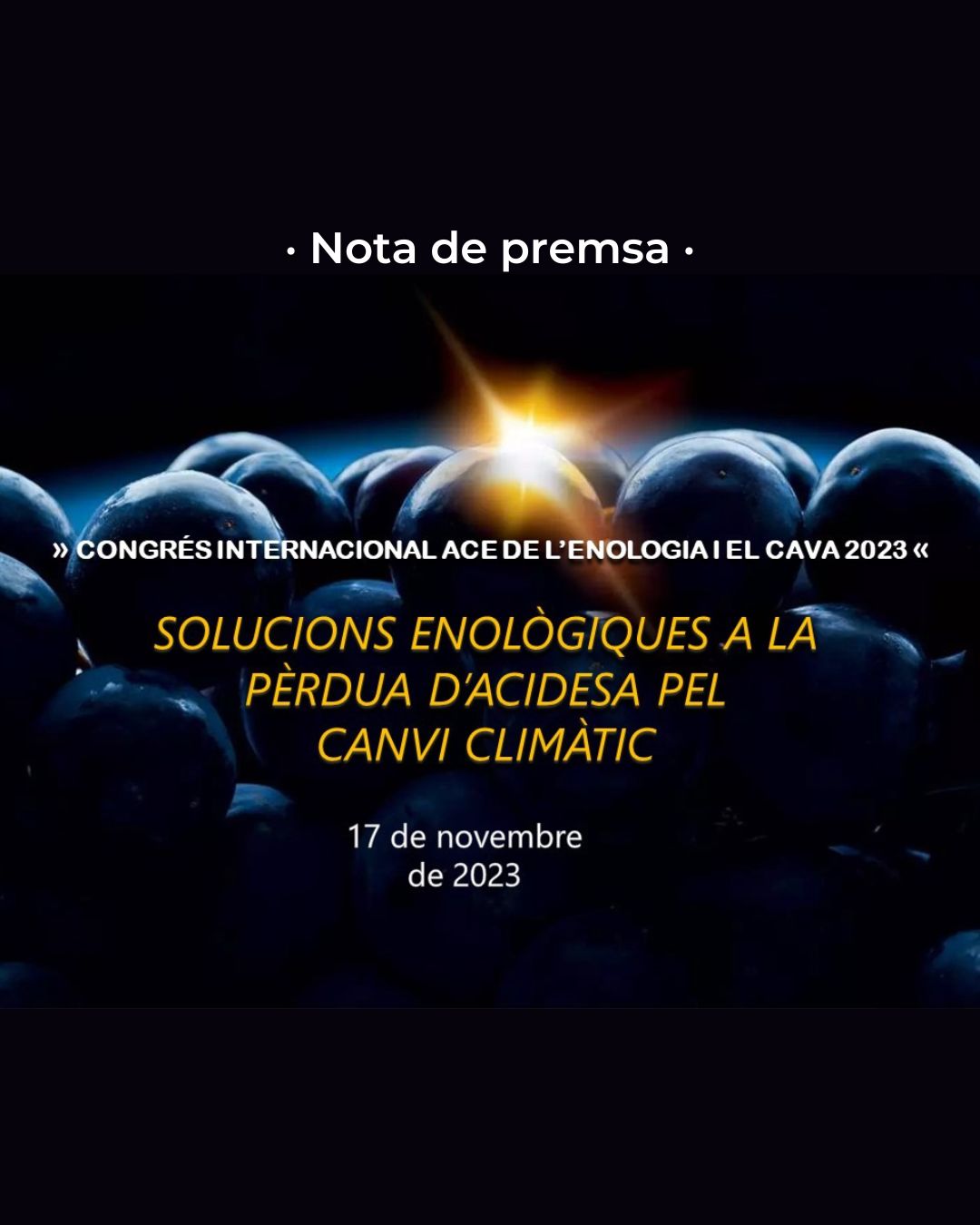Read more about the article Nota de premsa del Congrés Internacional ACE de l’Enologia i el Cava 2023
