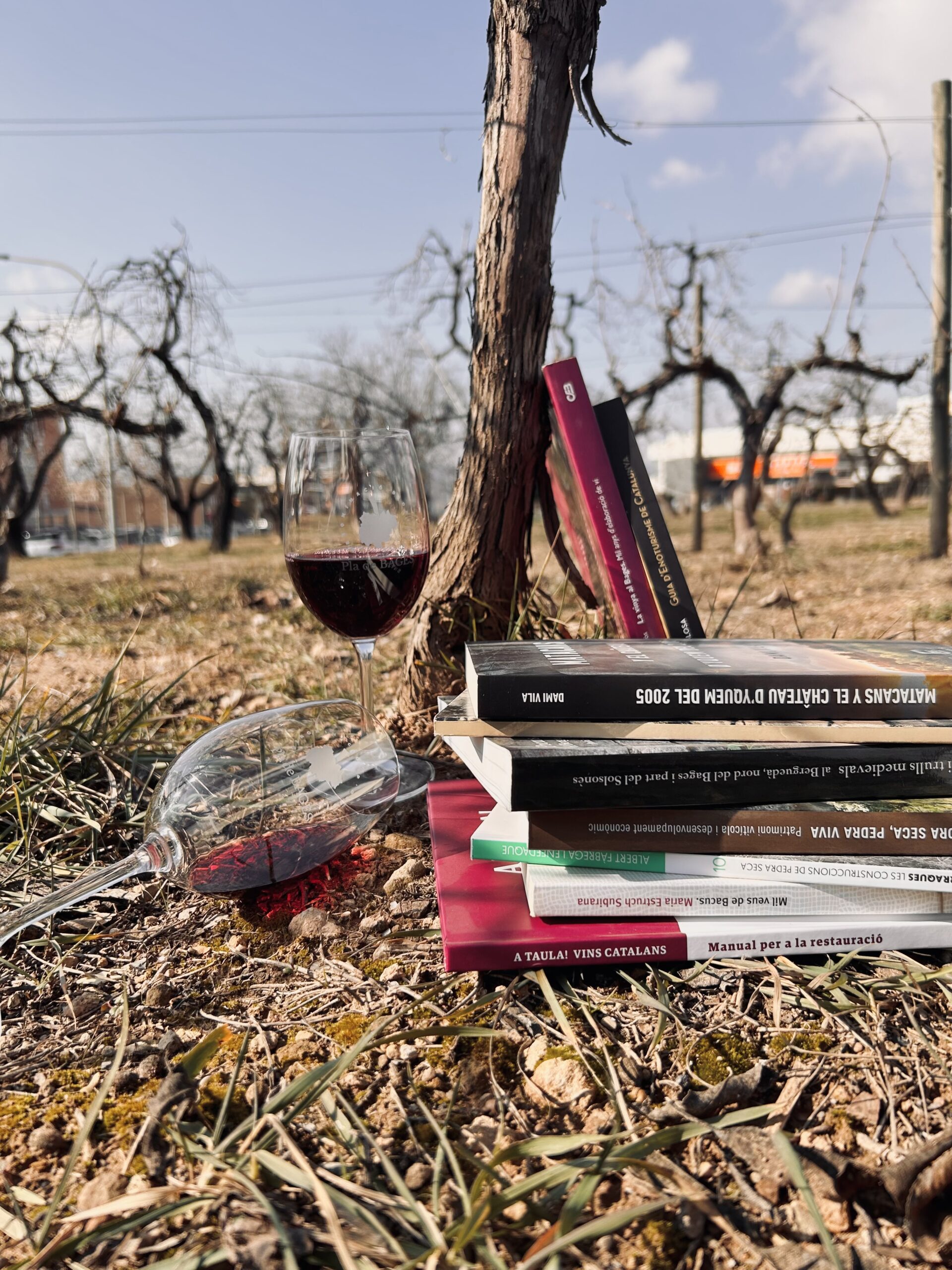 Read more about the article La cultura de vi arriba a les biblioteques del Bages que omplen el mes de gener d’activitats culturals relacionades amb el vi