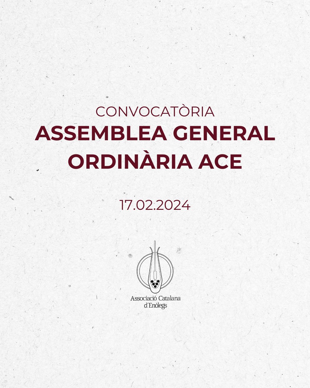 Read more about the article Convocatòria Assemblea General Ordinària ACE per al 17 de Febrer de 2024.
