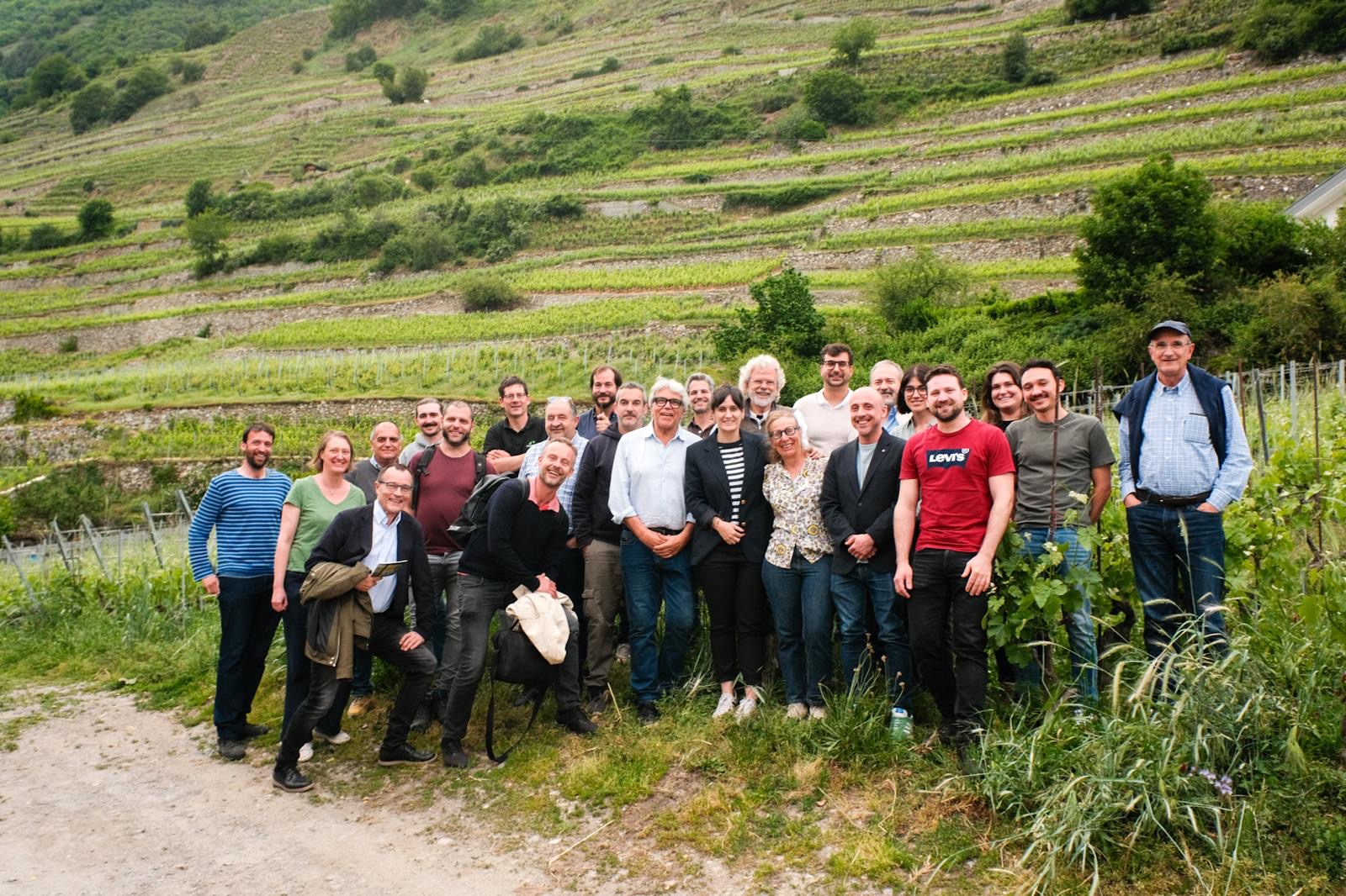 Read more about the article El sector vitivinícola català i suís intercanvien solucions davant dels reptes del canvi climàtic en el marc d’una visita a Suïssa