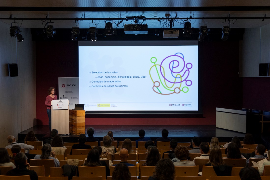 Read more about the article El GTEVE celebra la seva 37a jornada amb la mirada posada en la innovació i la sostenibilitat vitivinícola