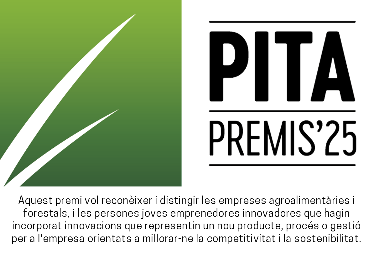 Read more about the article Convocatòria dels Premis PITA 2025.