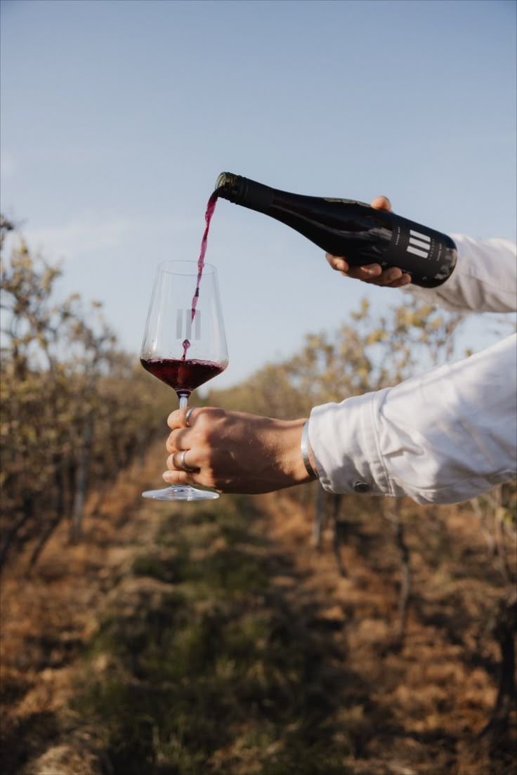 Read more about the article SESSIÓ DE TAST – A càrrec de Neus Grogués