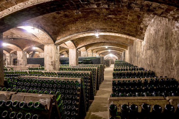 Read more about the article SESSIÓ DE TAST – dirigida per Pol Sancho