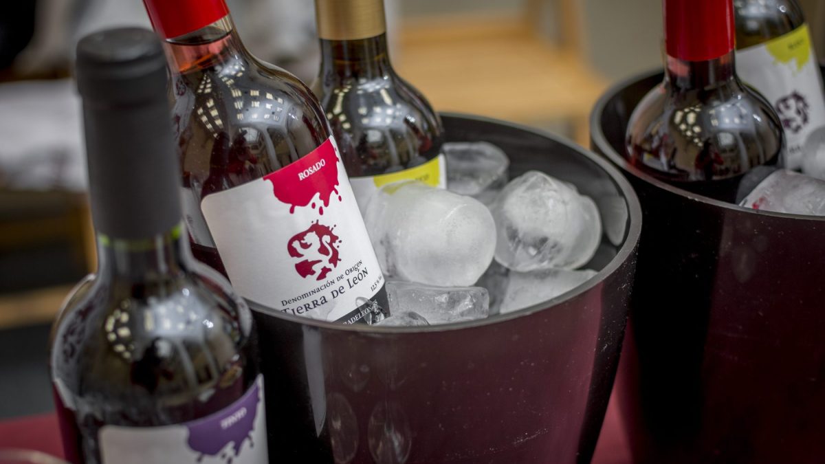 Read more about the article Assistència de la junta al Showroom de la DO Costers del Segre